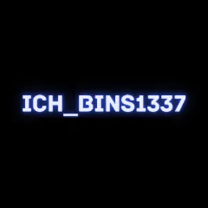ich_bins1337